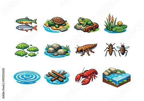 Freshwater Habitat. Colorful isometric vector icons set of Freshwater Habitat: river fish, turtle near shore, amphibians, aquatic plants,