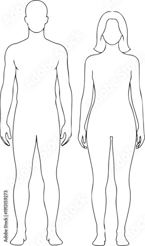 Male and female human body outline illustration on transparent background