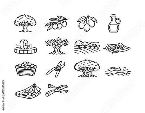 Olive Grove Icons. Olive grove. Line icon set of Olive grove: olive tree, olive branch, olives cluster, olive oil bottle, stone press, twisted trunk, grove