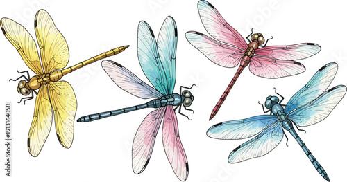 Colorful Dragonfly Vector Illustration Set with Detailed Wings and Watercolor Texture for Nature Posters, Spring Greeting Cards, Summer Stationery, and Biological Designs