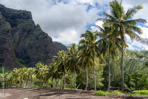 Foto Remote beach in Hakaui Bay, Nuku Hiva, Marquesas Islands, French Polynesia