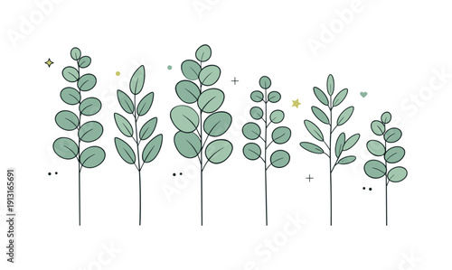 Minimalist Eucalyptus Collection. Neutral eucalyptus branch collection. A tidy group of stems with varying heights and leaf patterns, all in soft muted greens