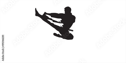 Silhouette of various martial arts poses and movements in black