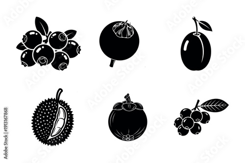Premium Monochrome Superfruit and Exotic Botanical Vector Set