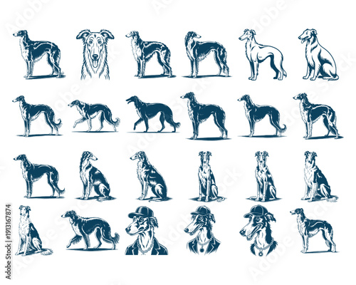 Dog Pose Silhouette Collection Pet Vector Set
