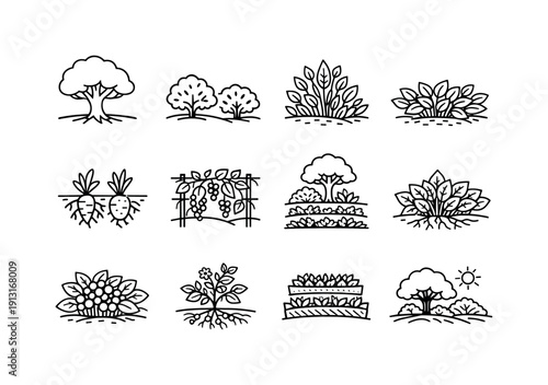 Image Generation. Food Forest System. Line icon set of Food Forest System: canopy trees, understory shrubs, herb layer, ground cover plants, root crops, vine