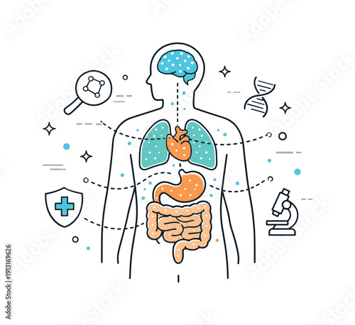 Nanotechnology in medicine. Abstract human silhouette with highlighted organs and tiny particles flowing gently inside. Visual metaphor of