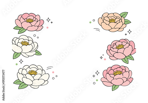 Peony Floral Flat Lay. Peony flowers flat lay. Soft peony blossoms arranged from a top-down view, gently overlapping with generous white space between them.