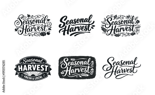 Seasonal harvest lettering. Set lettering. harmonious lettering variations of the same emblematic concept, each with different artistic