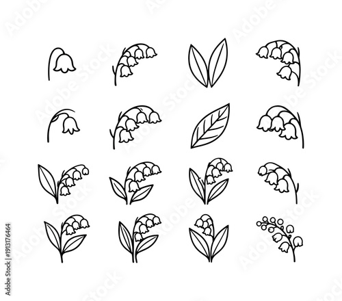 Lily of the Valley Icons. Lily of the Valley. Line icon set of Lily of the Valley: bell flower, single stem, paired leaves, flower cluster, bud, blooming