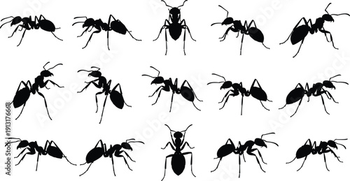 Set of Black Silhouette Vector Illustrations Featuring Small Ants in Various Poses for Nature Education Pest Control and Insect Graphic Designs
