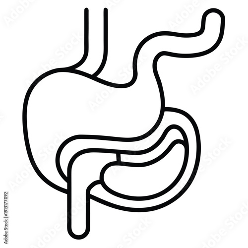 Outline vector icon of stomach and duodenum isolated on white background healthcare
