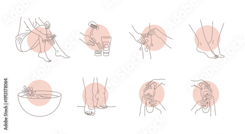 Mosquito Life Cycle and Anatomy Line Icons Set - Insect Biting, Flying and Feeding Stages, Vector Illustration Collection, Pest Control Concept, Editable Outline Design