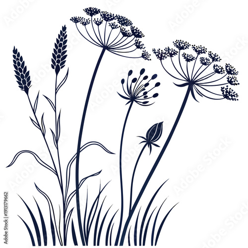 seed head stage silhouette on white background