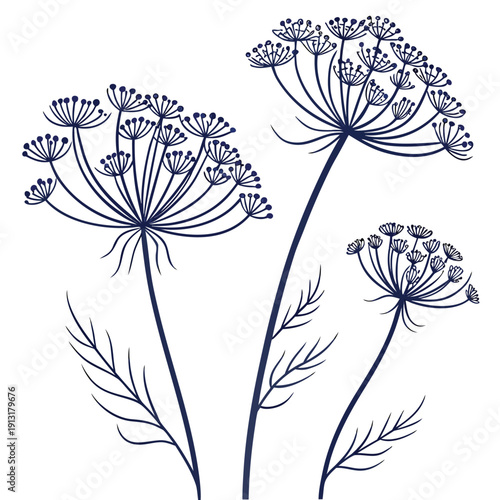 seed head stage vector
