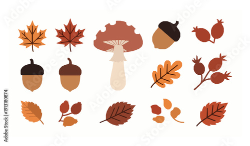 Autumn botanical elements vector collection with maple leaf mushroom acorn and rosehip isolated on white background