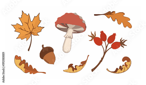 Cozy autumn foliage vector set with hand drawn maple leaves mushroom acorn and rosehip isolated on white background