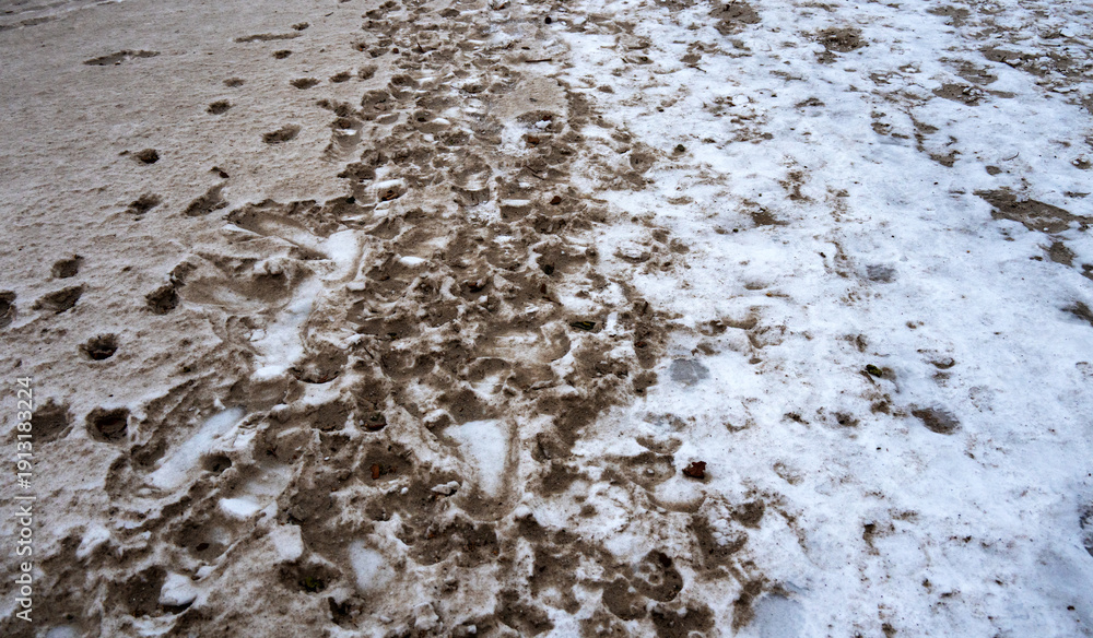 Obraz premium Strandufer der winterlichen Ostsee