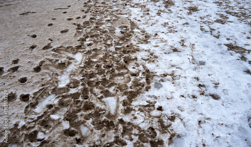 Strandufer der winterlichen Ostsee