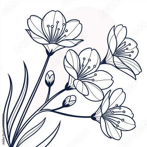 backlit petals line art on white background