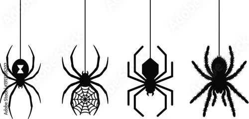 Spider silhouette set hanging on web thread, black widow tarantula and house spiders isolated on white background, cad drawing flat vector illustration for Halloween