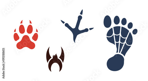 Animal Track Line soft tone color illustration