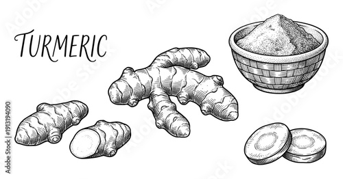 Turmeric root and powder in vintage engraving style