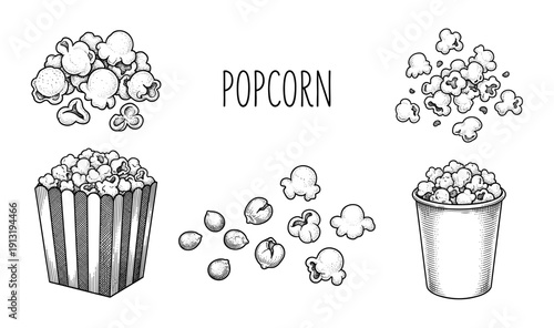 Popcorn buckets and kernels in vintage engraving style