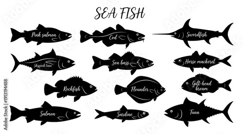 Sea fish silhouettes collection with 12 species