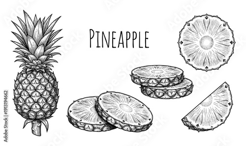 Pineapple fruit and slices vintage engraving set