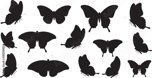 A diverse collection of black butterfly silhouettes against a white background