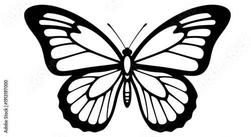 Black Butterfly Silhouette Illustration.