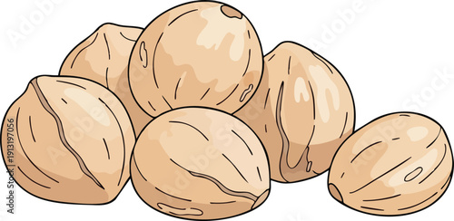 A pile of delicious and nutritious hazelnuts, a healthy snack or ingredient for baking and cooking