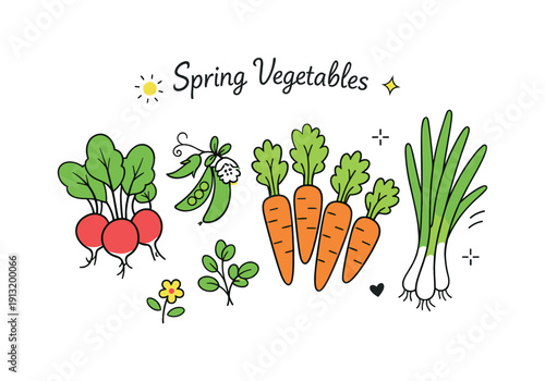 Spring vegetables set. A fresh collection of simple spring vegetables like radishes, carrots, and green onions, arranged as a light, balanced
