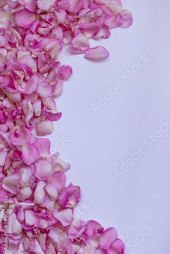 Soft pink rose petals form a vertical floral border on the left over a clean light background. Minimal flat lay with generous copy space for text—ideal for wedding invitations, greeting cards, beauty 