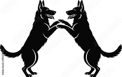 Black silhouette of two German Shepherd dogs playing or standing on hind legs facing each other isolated on white background for heraldic logo design