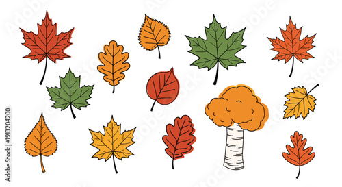 Selection of various colorful autumn leaves from different tree species and one whole tree isolated on a plain white background.