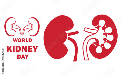 World Kidney Day red medical awareness illustration with human kidney anatomy vector