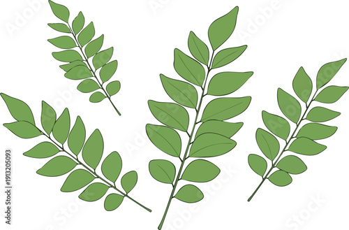Illustrations of delicate green leaves with stems, resembling a fern or a leafy branch, set against a white background, perfect for nature-themed designs