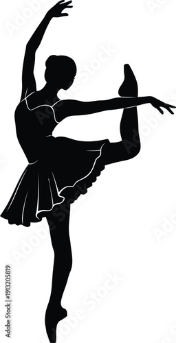 Adobe Illustrator Artwork