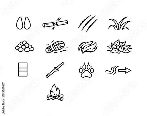 Forest tracking signs. Line icon set of Forest tracking signs: deer tracks, broken twig, claw marks, bent grass, fresh droppings, footprint