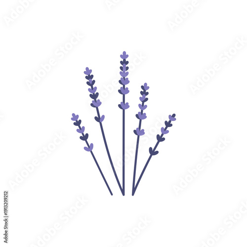 Wild Lavender Stems Asymmetrical Modern Flat Icon