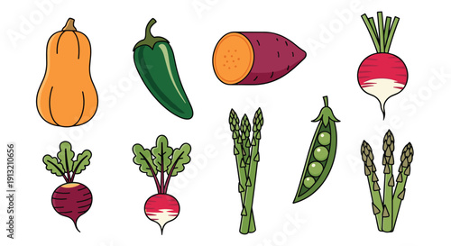 Assortment of fresh healthy vegetables including squash, pepper, sweet potato, radish, beet, asparagus, and pea pods for cooking.