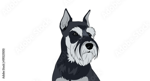 Miniature schnauzer dog portrait illustration with salt and pepper coat and distinctive beard features isolated on white background.