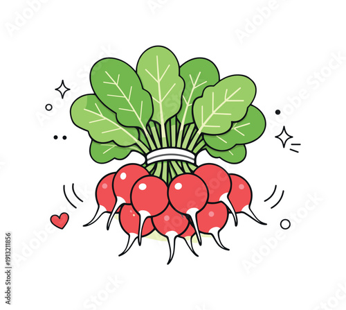 Radish bunch. A top-down view of a radish bunch arranged neatly, emphasizing shape contrast between roots and leaves. The scene feels clean,