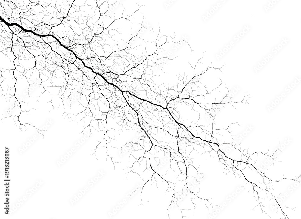 Fototapeta premium Lightning strike abstract on white background, branching electrical energy, nature's power, dark lines