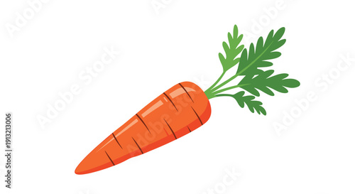 Fresh orange carrot with a bunch of green leafy tops shown at an angle in a clean vector illustration style on a plain white background.