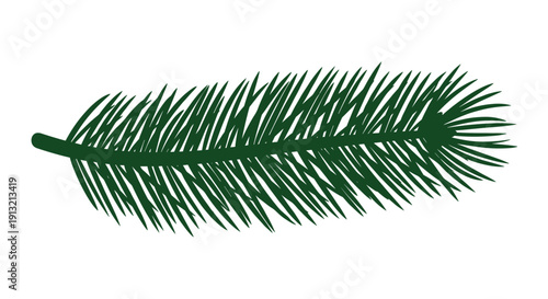 Single dark green branch from a pine or fir tree with many needles shown in detail against a plain white background for holiday use.