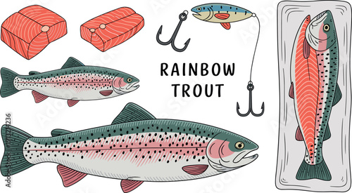 Detailed rainbow trout fish vector collection featuring salmon fillets fishing lure and fresh seafood