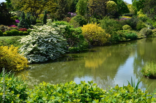 Staw w Arboretum w Wojsławicach wiosną